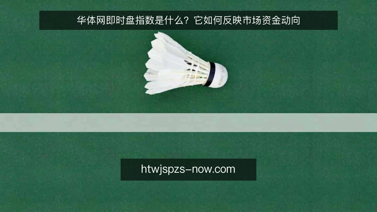 华体网即时盘指数是什么?它如何反映市场资金动向