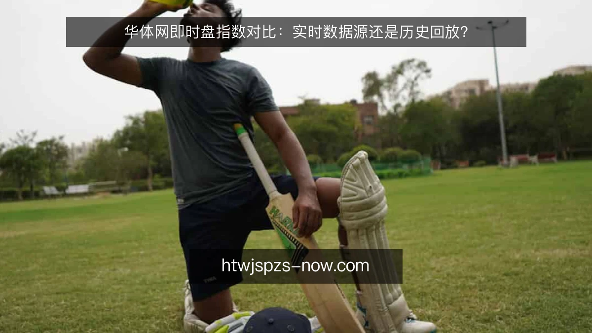 华体网即时盘指数对比:实时数据源还是历史回放?