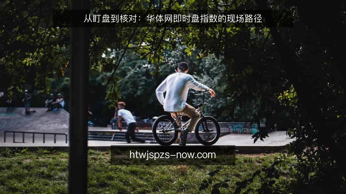 从盯盘到核对：华体网即时盘指数的现场路径