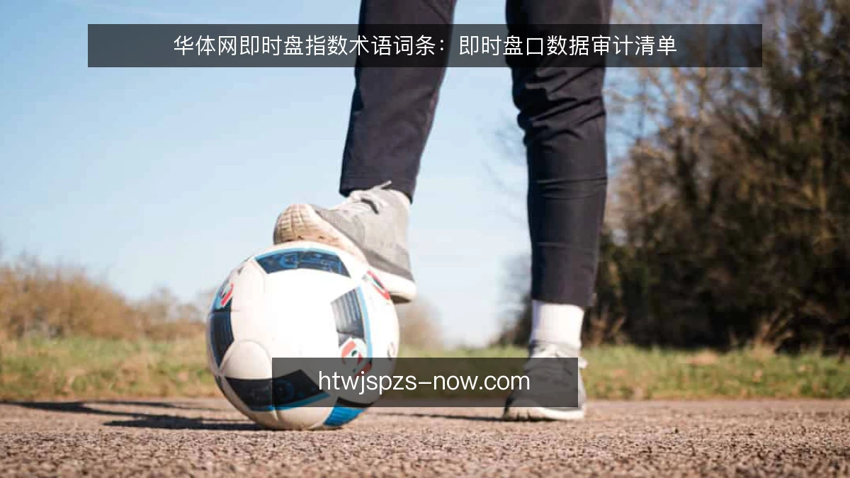 华体网即时盘指数术语词条：即时盘口数据审计清单