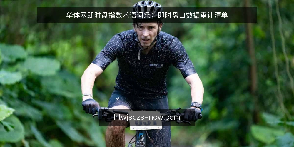 华体网即时盘指数术语词条：即时盘口数据审计清单 — 为什么现在要审计术语 配图